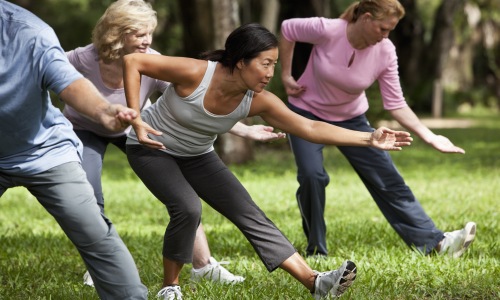 Fitness Pavilion Cover Image