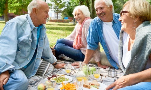 Picnic Shelters & Gathering Spaces Cover Image
