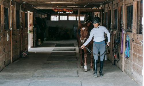 Equestrian Facilities Cover Image